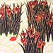 Shuho Takemiya Gallery